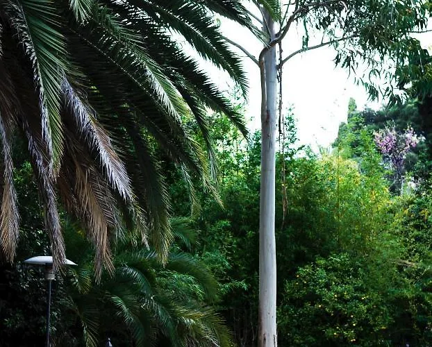 Alouettes Апартаменты