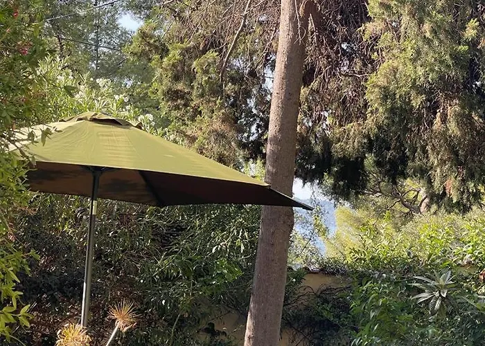 Alouettes Апартаменты Йер