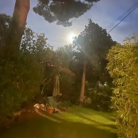 Alouettes Appartement