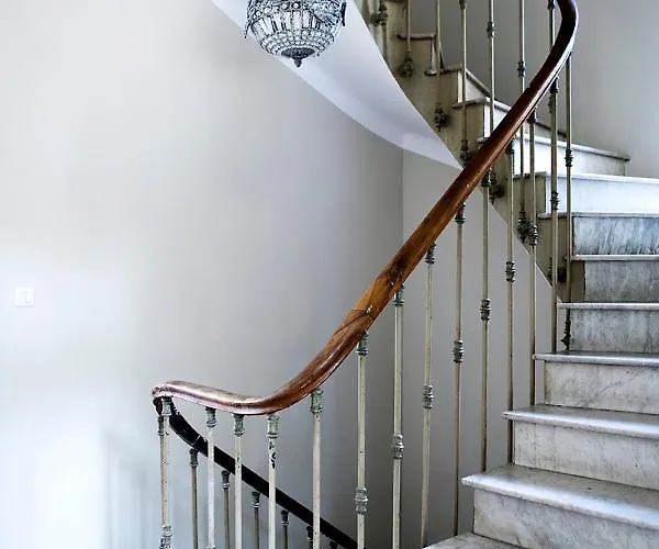 Alouettes Daire Hyères