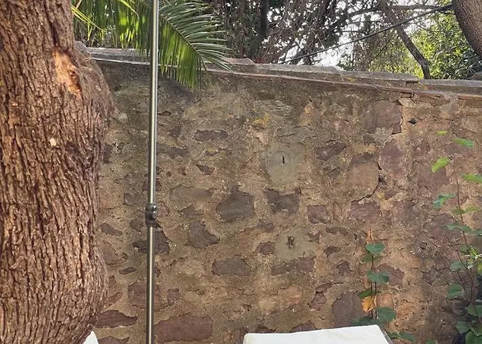 Alouettes Daire Hyères